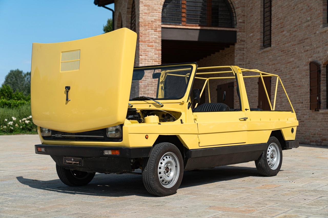 Fiat Maxi MORETTI SPIAGGINA - FIA00431