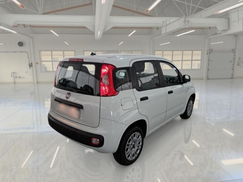 FIAT PANDA 1.2 69 CV SES E6D-TEMP EASY 5 PORTE BERLINA