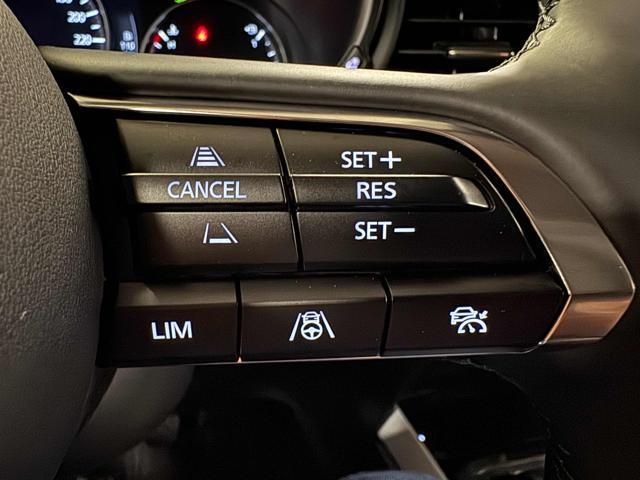 MAZDA CX-30 e-Skyactiv-G M Hybrid 2WD Exclusive Line