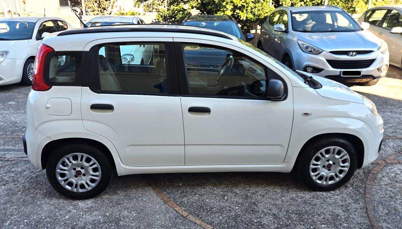 Fiat Panda 1.2 Easy BEN TENUTA GARANZIA 12 MESI