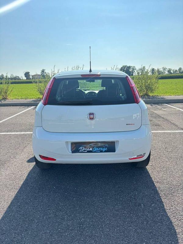 FIAT Punto Punto 1.4 8V 5 porte Easypower Street