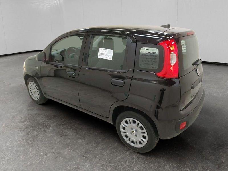 FIAT Pandina 1.0 firefly hybrid Icon s&s 70cv