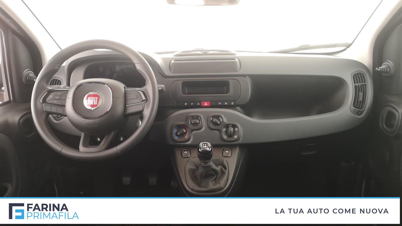 FIAT Panda III 2021 - Panda 1.0 firefly hybrid Pop s&s 70cv