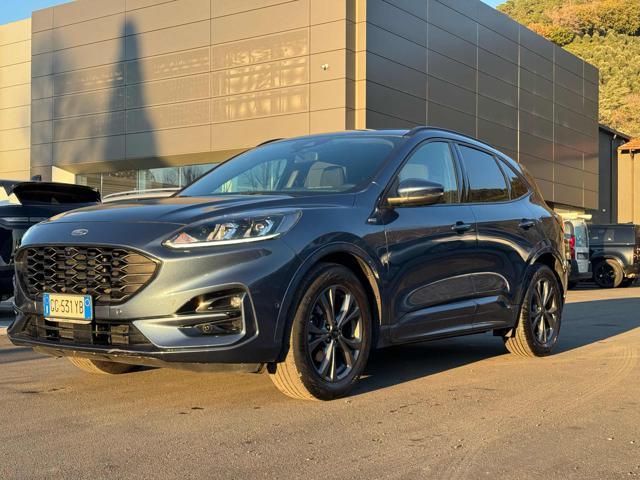 FORD Kuga 1.5 EcoBlue 120 CV 2WD ST-Line