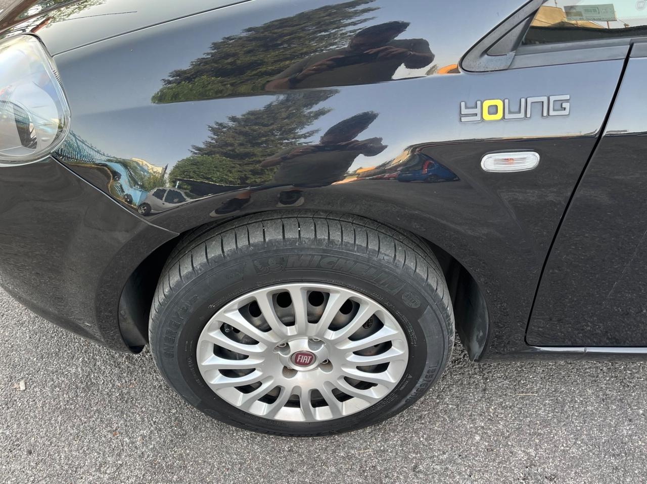 Fiat Punto 1.2 8V 5 Porte Young-soloKm 35000-