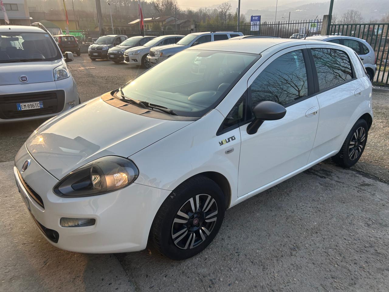 Fiat Punto 1.2 8V 5 porte Lounge