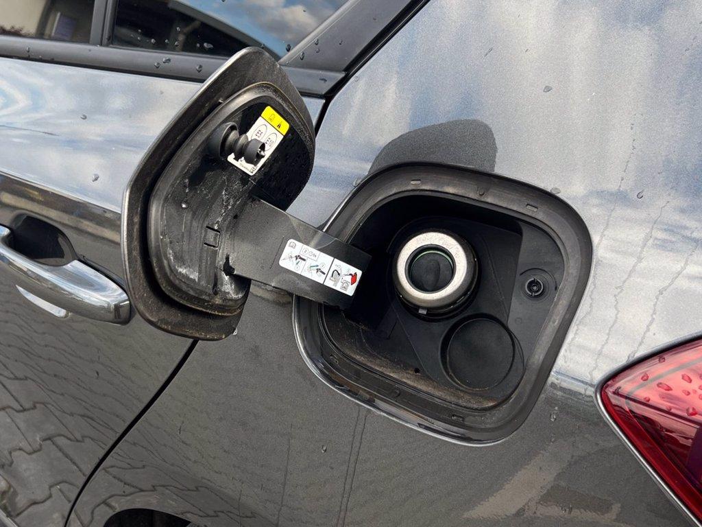 FORD Focus 1.0 EcoBoost Hybrid 125 CV 5p. ST-Line Style del 2023