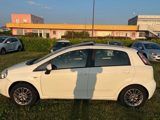 Fiat Punto Evo 1.3 Mjt 95 CV DPF 5 porte S&S Dynamic
