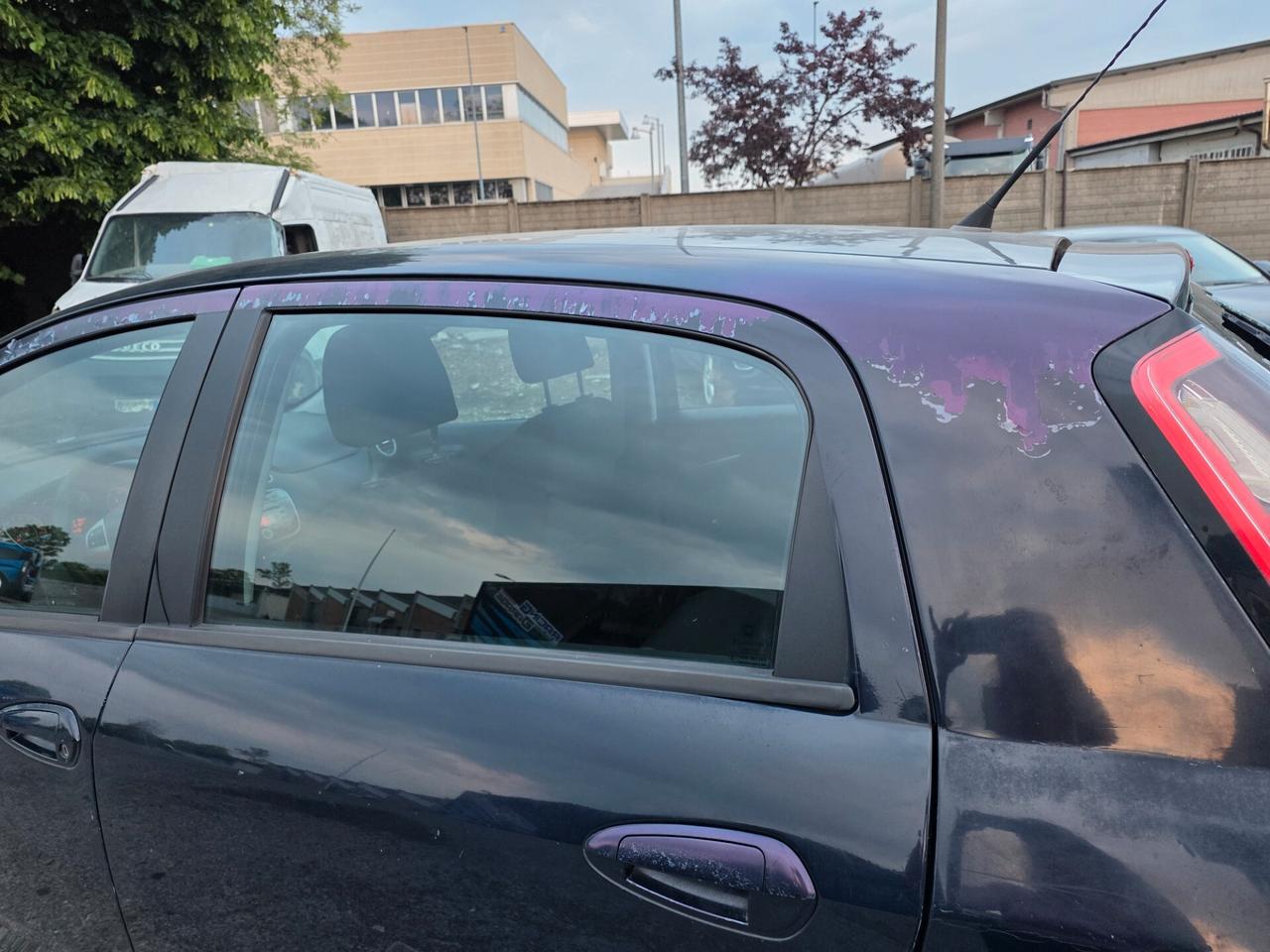 Fiat Punto Evo 1.4 5 porte Dynamic EasyPower