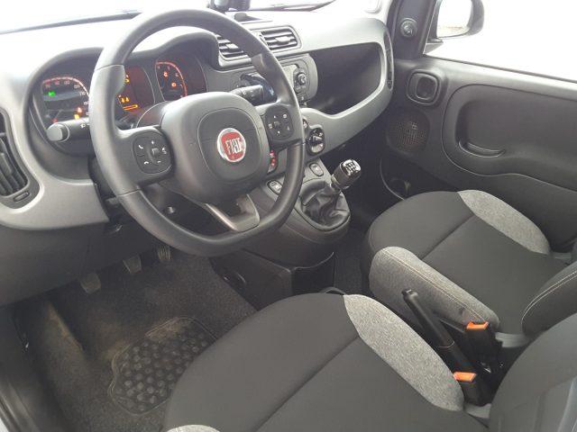 FIAT Panda 1.0 FireFly 70cv Hybrid *5 POSTI*