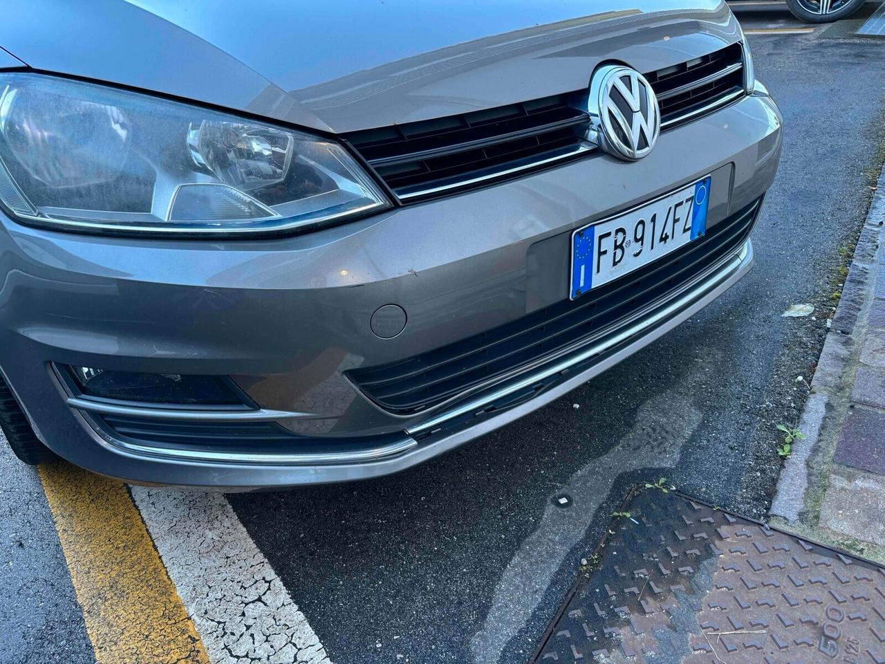 Volkswagen Golf 1.6 TDI 110 CV 5p. Business BlueMotion Technology