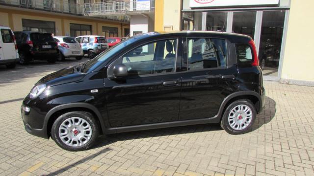 FIAT - Panda - 1.0 FireFly S&S Hybrid .