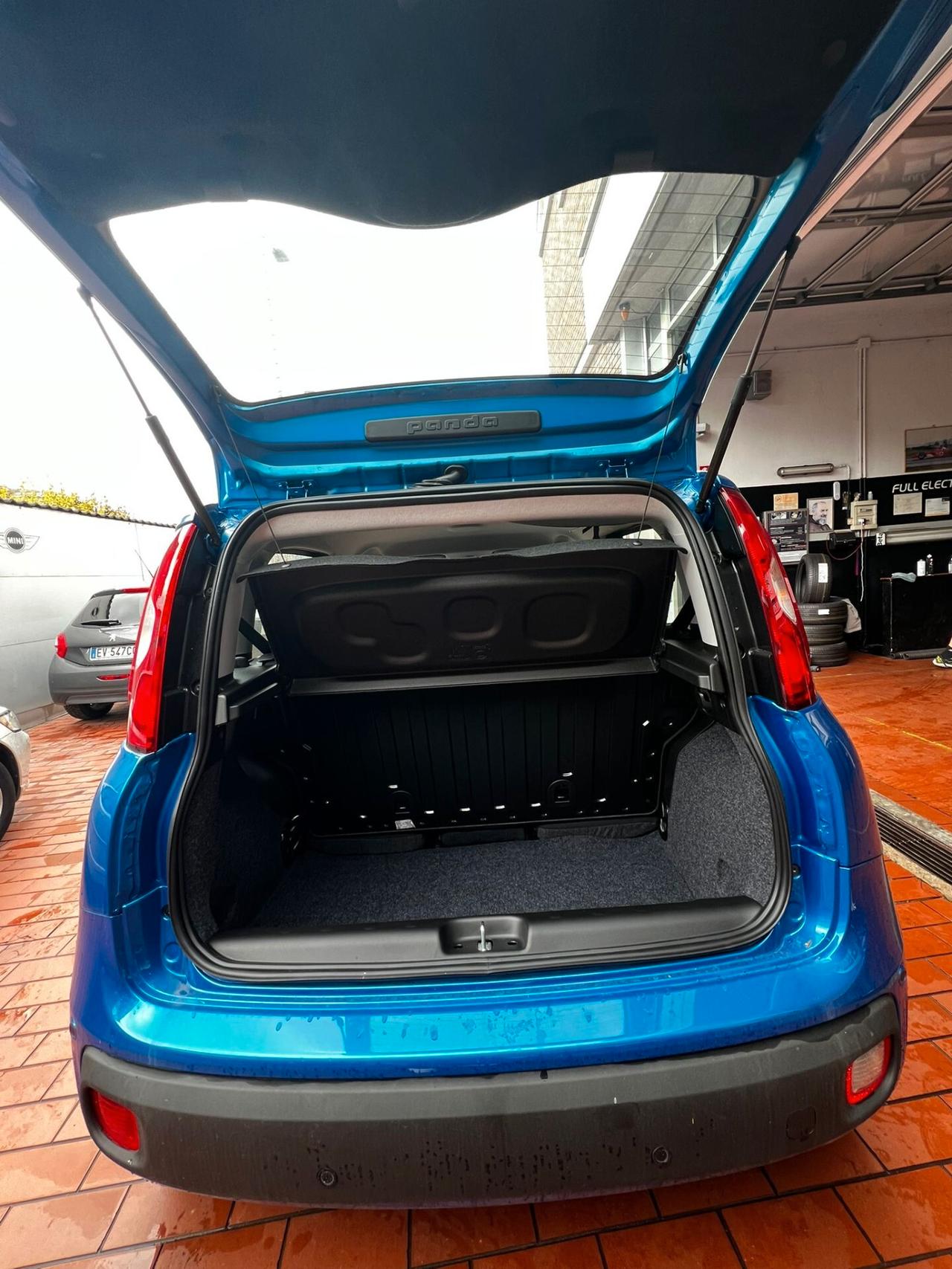 Fiat Panda 1.0 FireFly S&S Hybrid