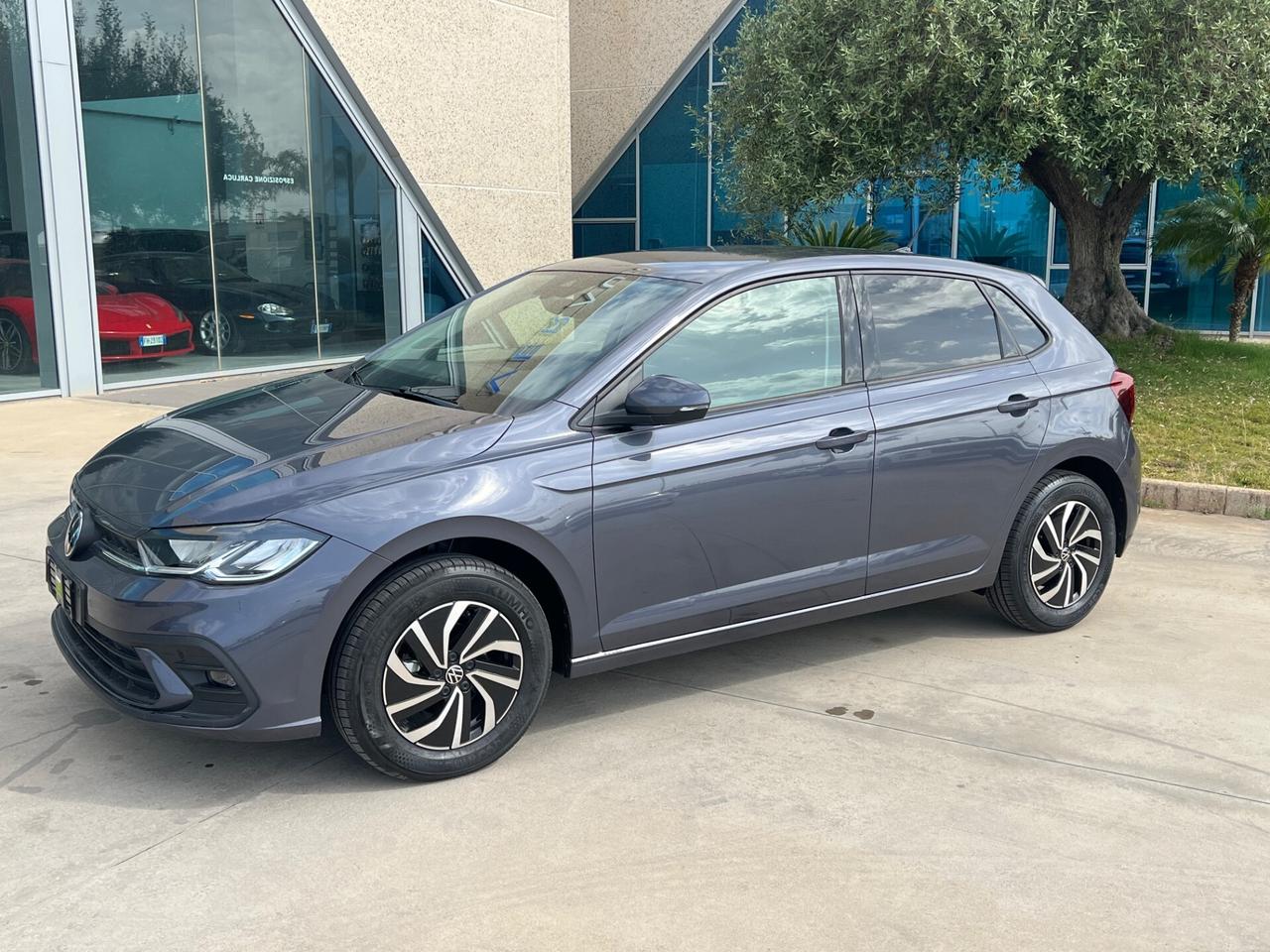 Volkswagen Polo 1.0 TSI DSG Edition Plus - possibilità noleggio no scoring