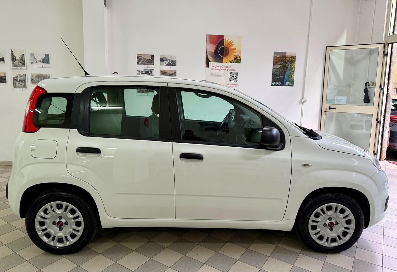 Fiat Panda 1.3 MJT 95 CV solo 75.000km