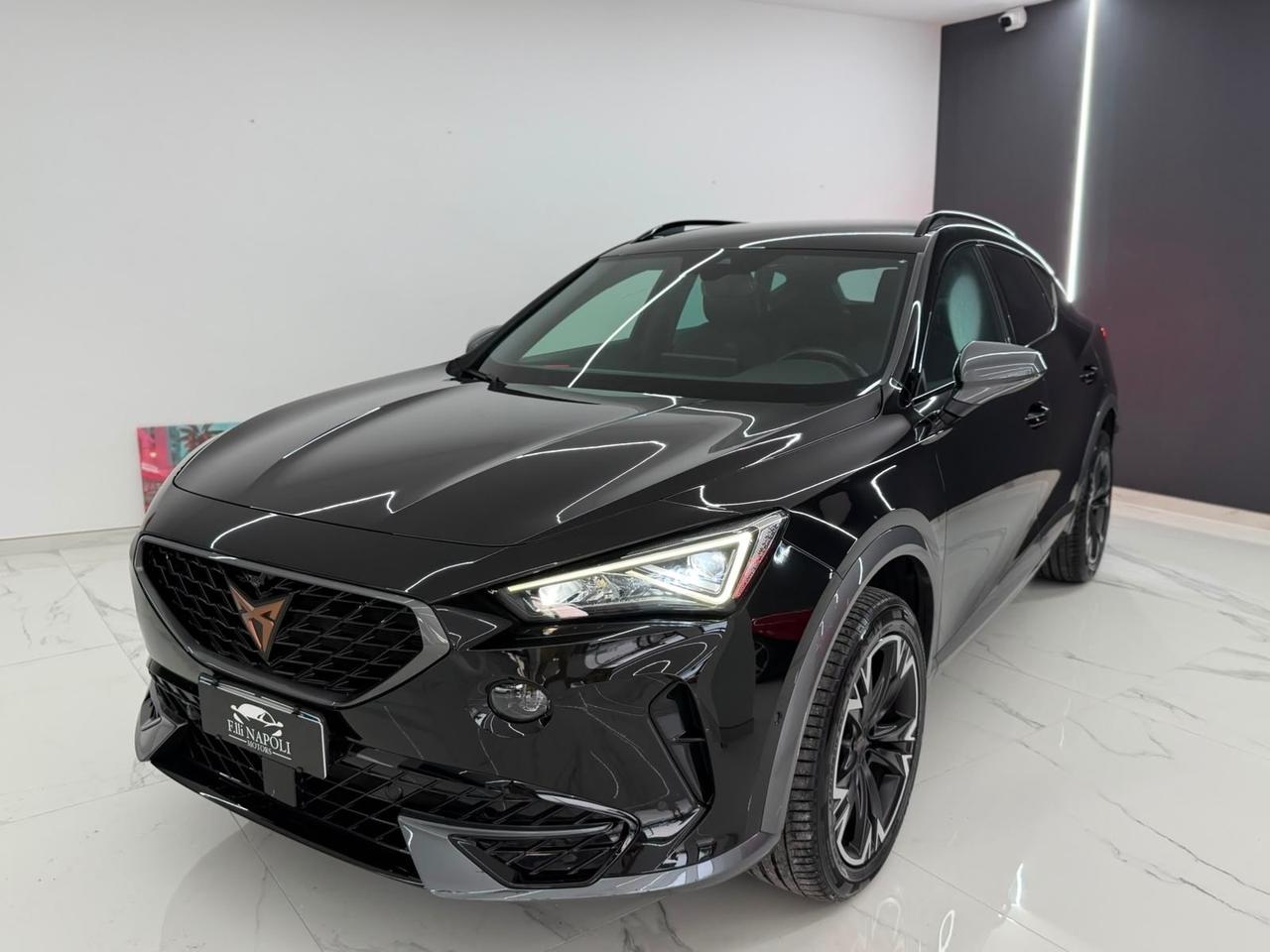 Cupra Formentor 2.0 TDI 4Drive DSG