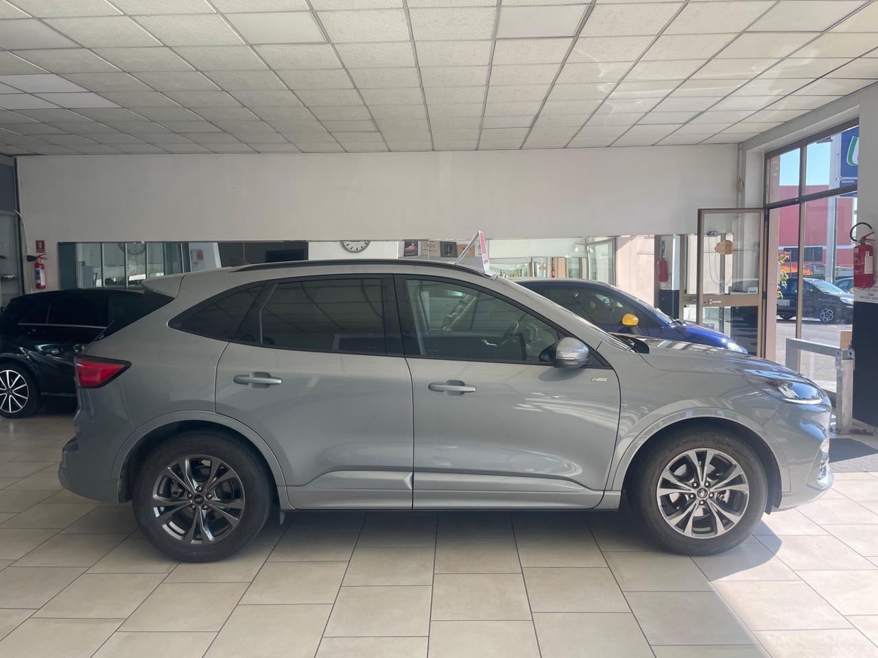 Ford Kuga 1.5 EcoBoost 150 CV 2WD ST-Line - Nessun vincolo -