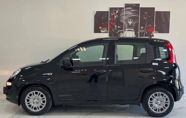 Fiat Panda Pandina 1.0 FireFly 65 CV Hybrid Icon 5.p