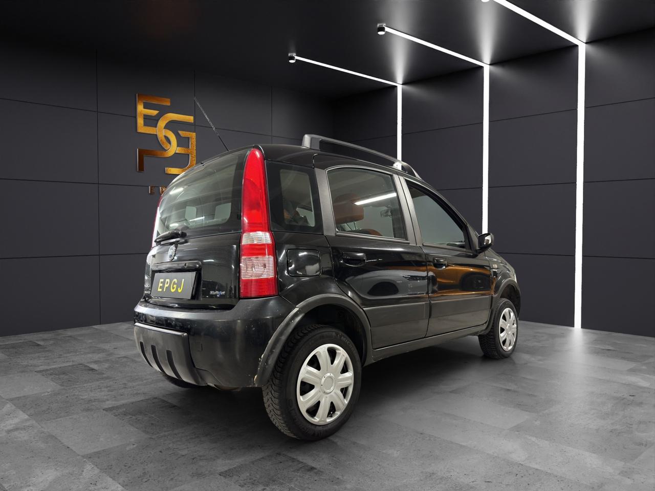 Fiat Panda 1.3 MJT 16V 4x4