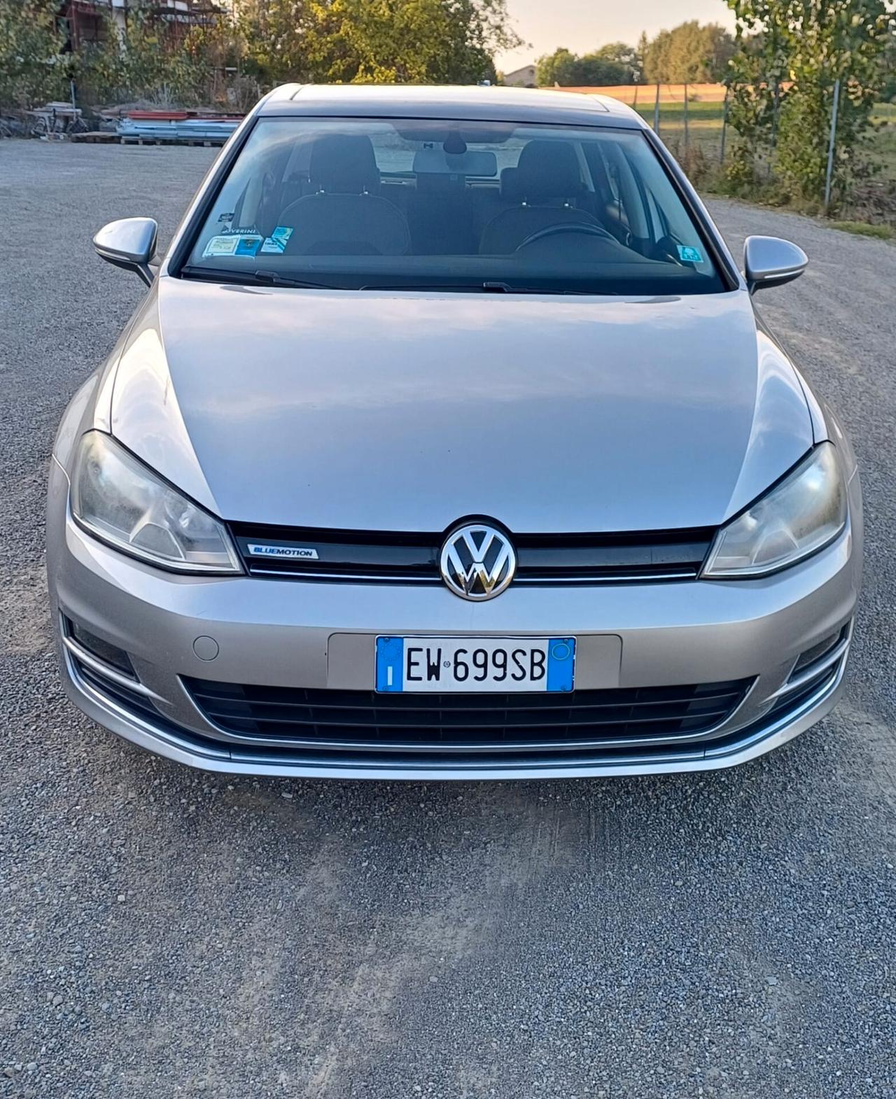 Volkswagen Golf 1.4 TGI 5p. Highline BlueMotion