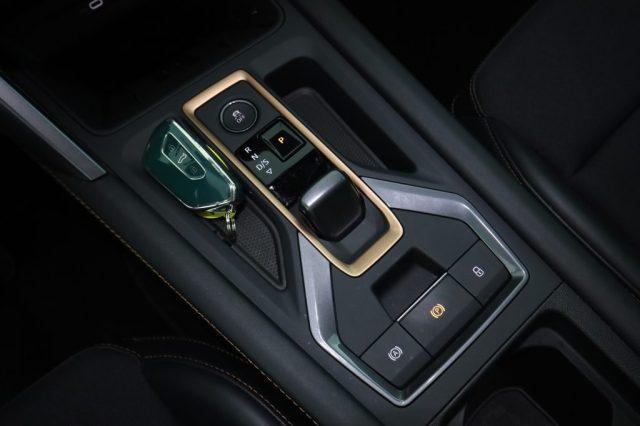 CUPRA Formentor Formentor 2.0 TDI DSG