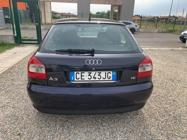 AUDI A3 1.6 cat 5p. Ambiente