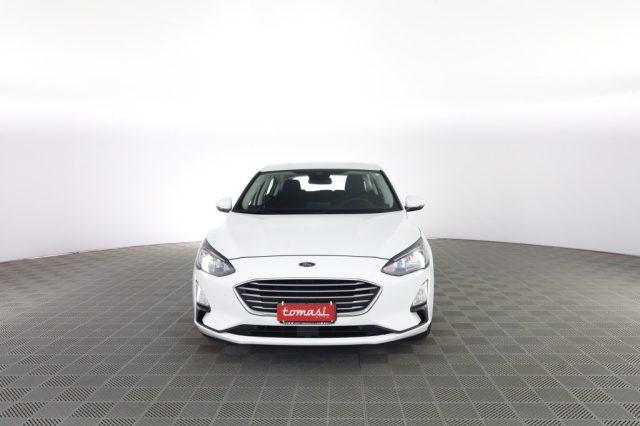 FORD Focus Focus 1.5 EcoBlue 120 CV 5p. Business