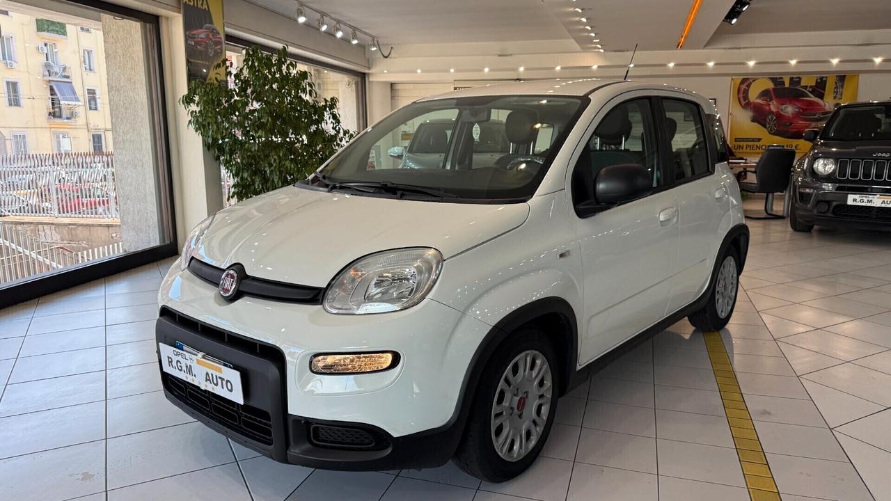 Fiat Panda 1.0 FireFly S&S Hybrid City Life
