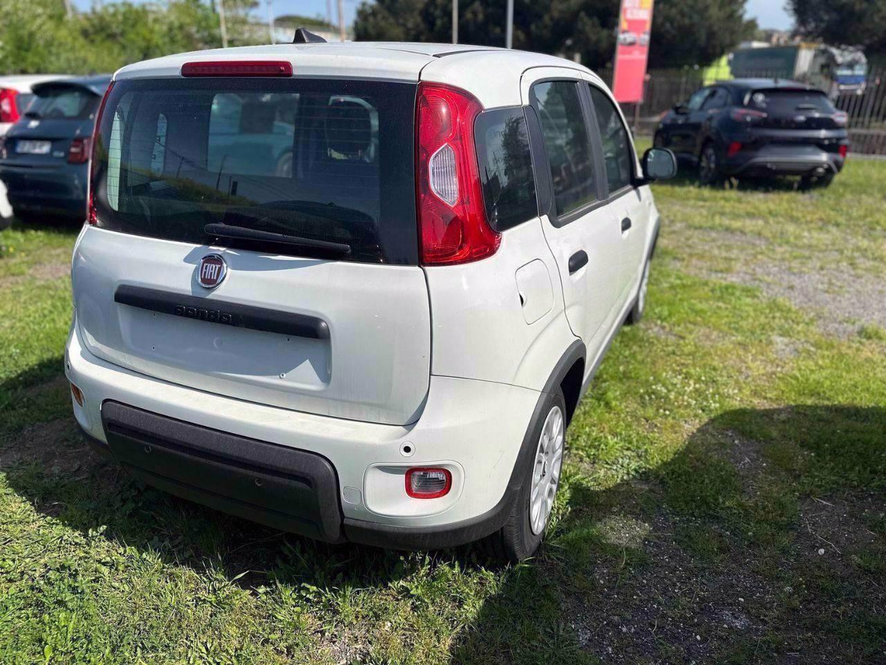 FIAT Pandina III 2024 - Pandina 1.0 firefly hybrid Pop s&s 70cv