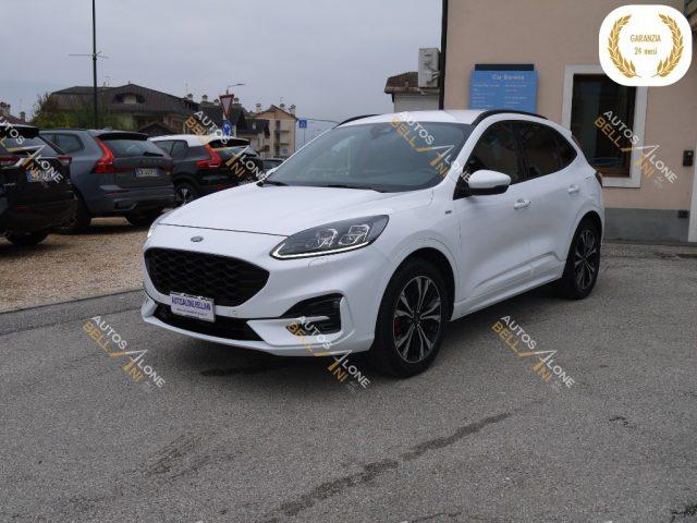 FORD Kuga 1.5 EcoBoost 150 CV 2WD ST-Line X