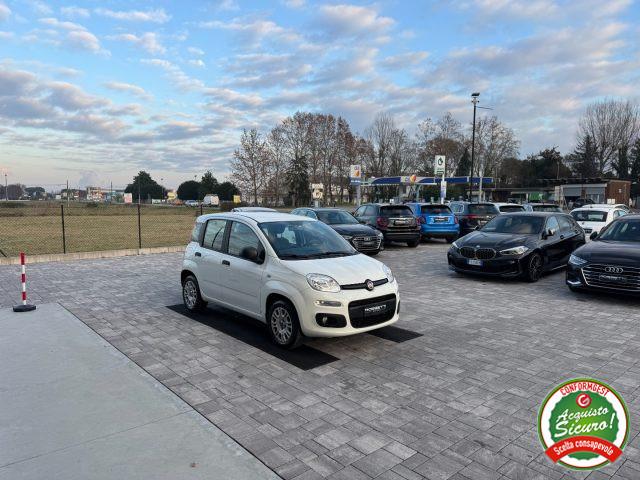 FIAT Panda 1.2 Easy ANCHE PER NEOPATENTATI