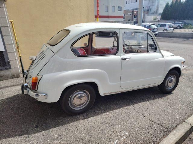 FIAT 600 D 750 FANALONA