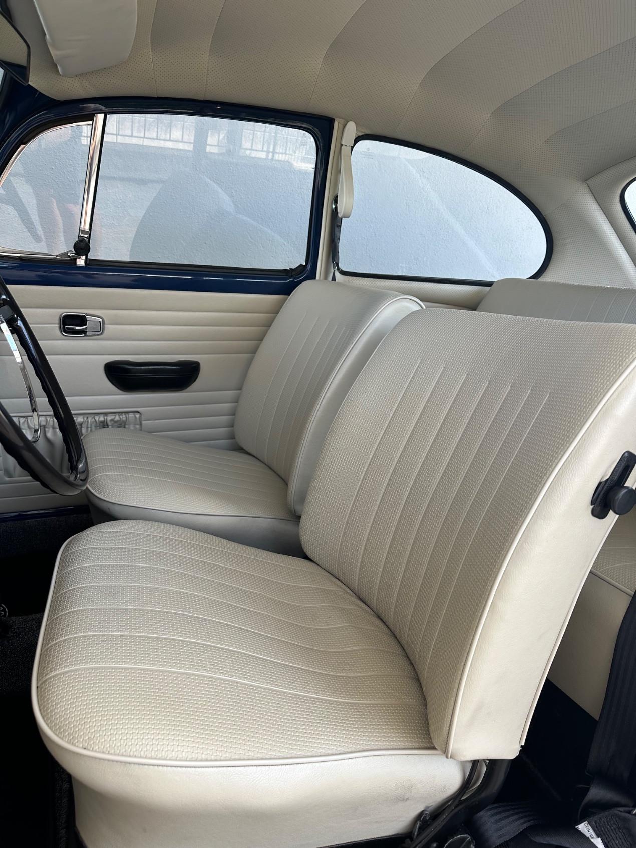 Volkswagen Maggiolino