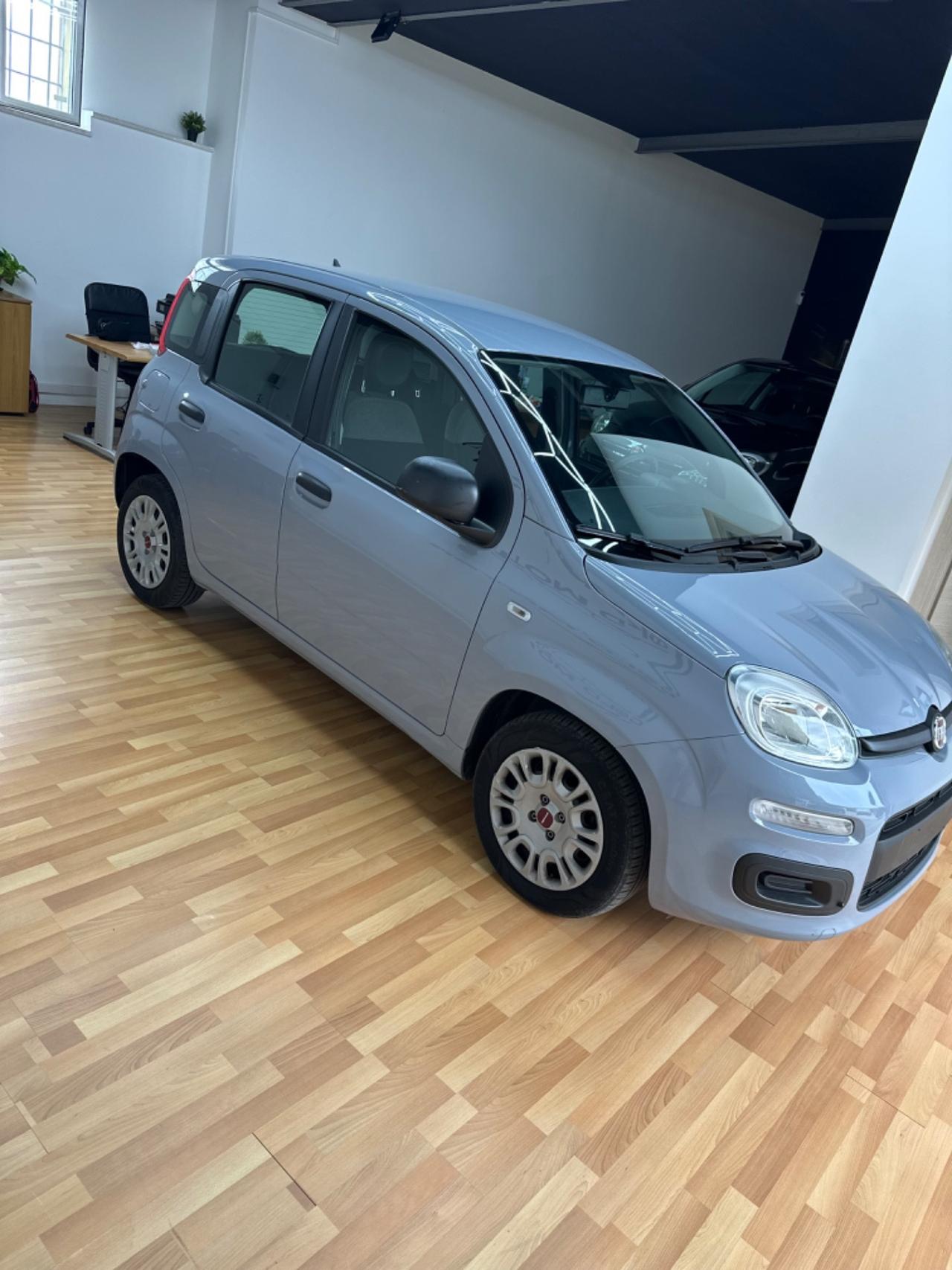 Fiat Panda 1.0 GSE S&S Hybrid Street Van 4 posti