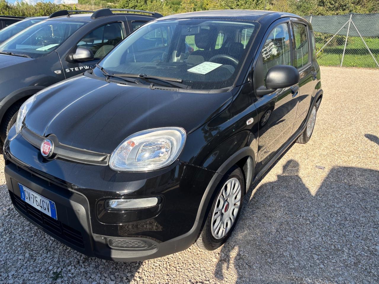Fiat Panda No