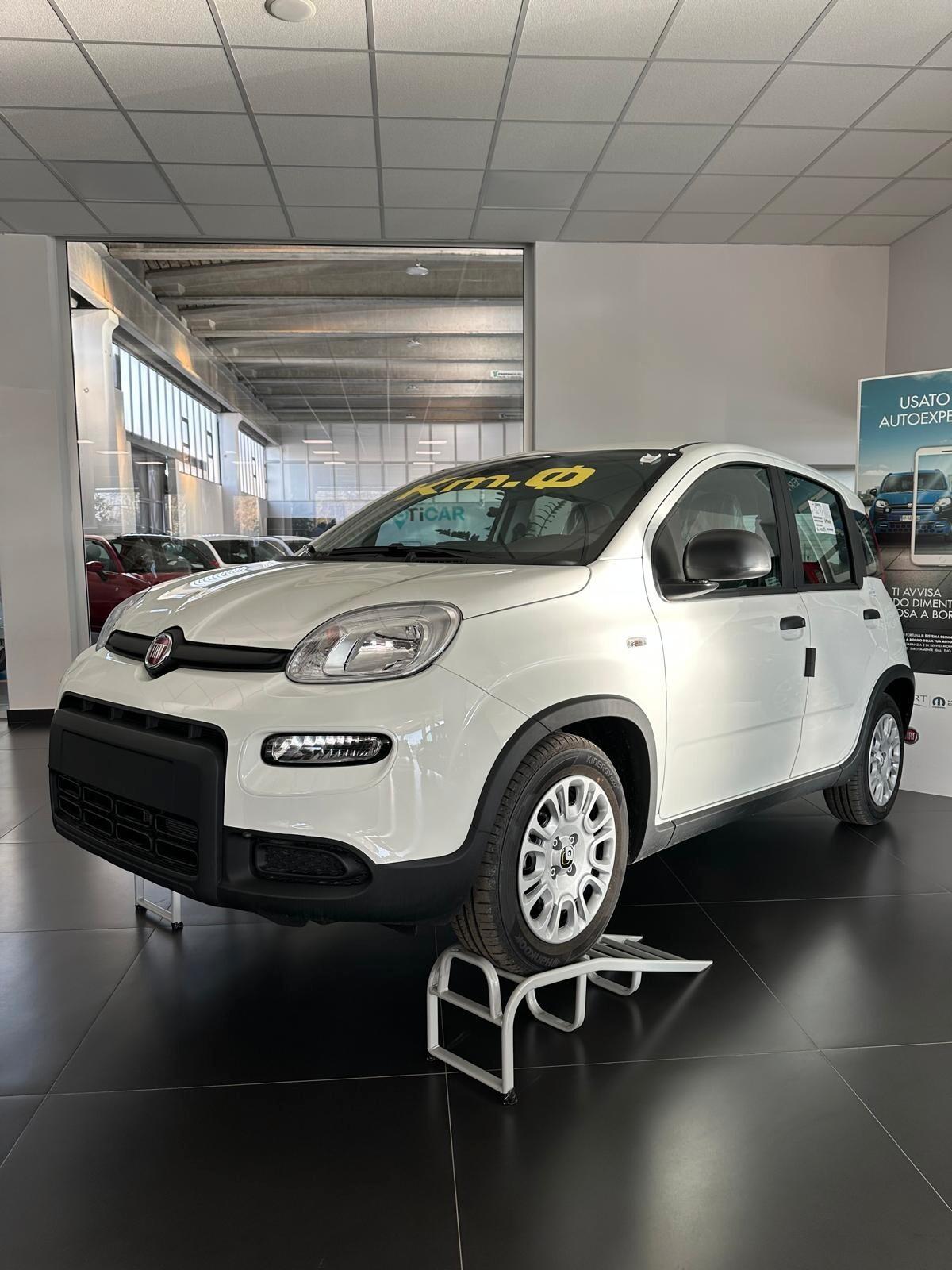 Fiat Panda 2024 PANDINA KM 0 NUOVA FULL