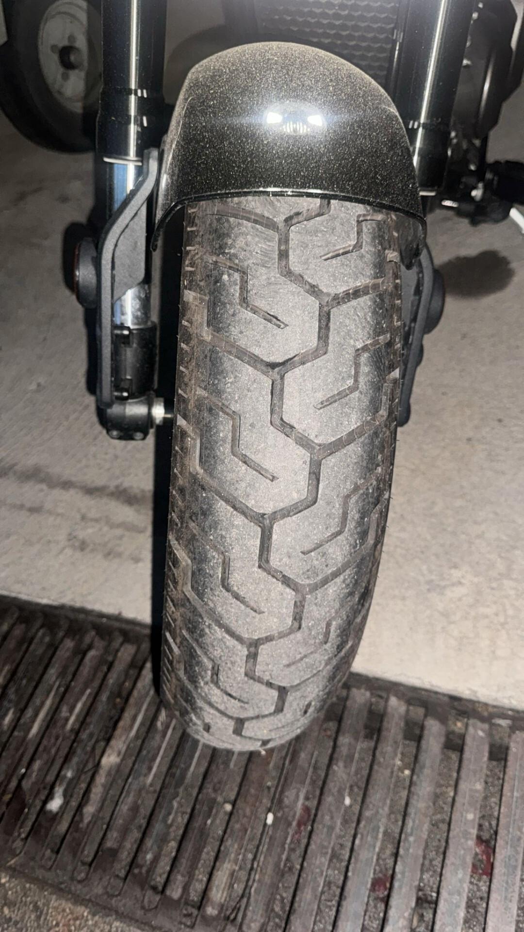 Benda Altro CHINCHILLA