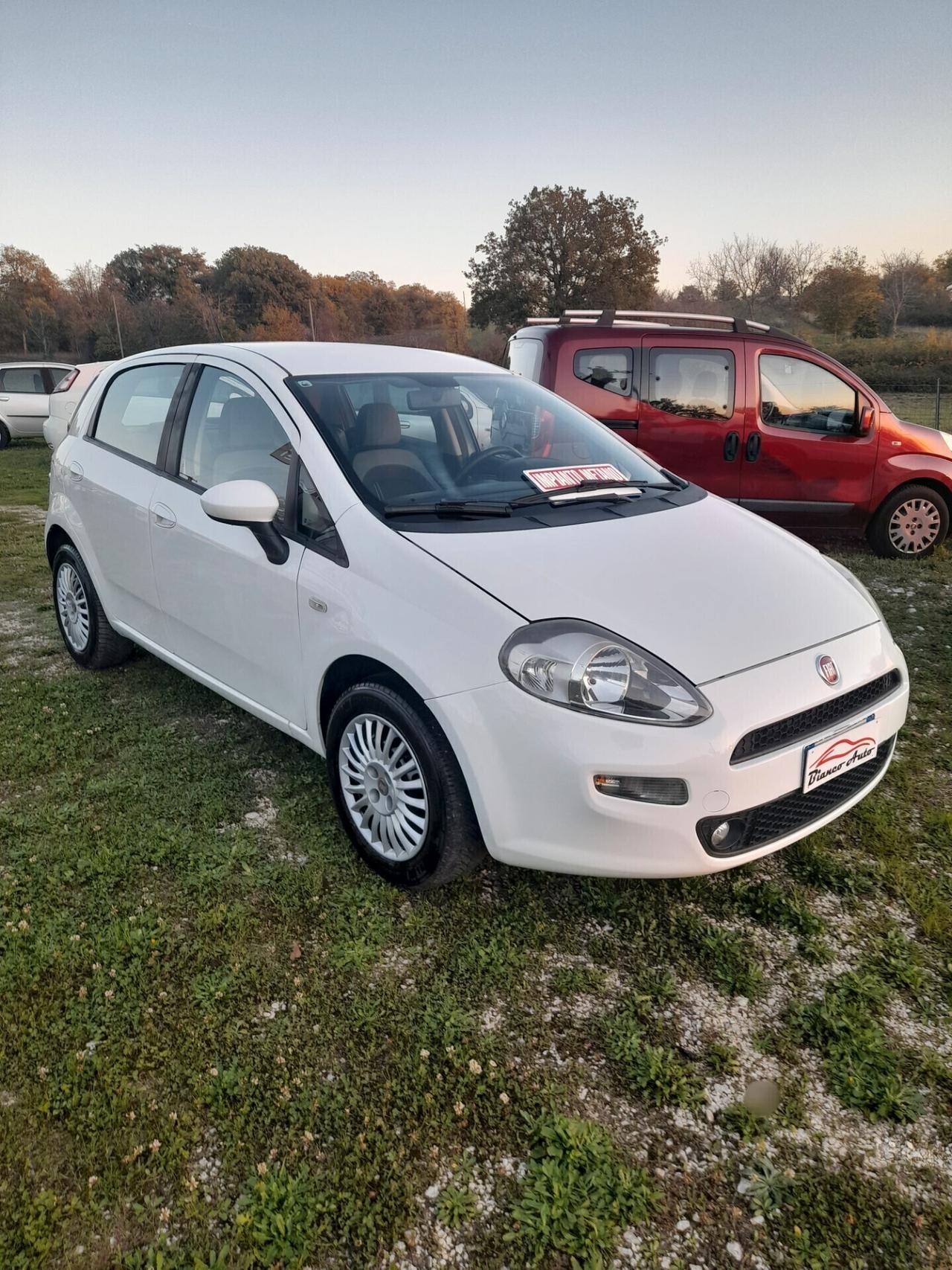 Fiat Punto 1.4 8V 5 porte Natural Power Easy