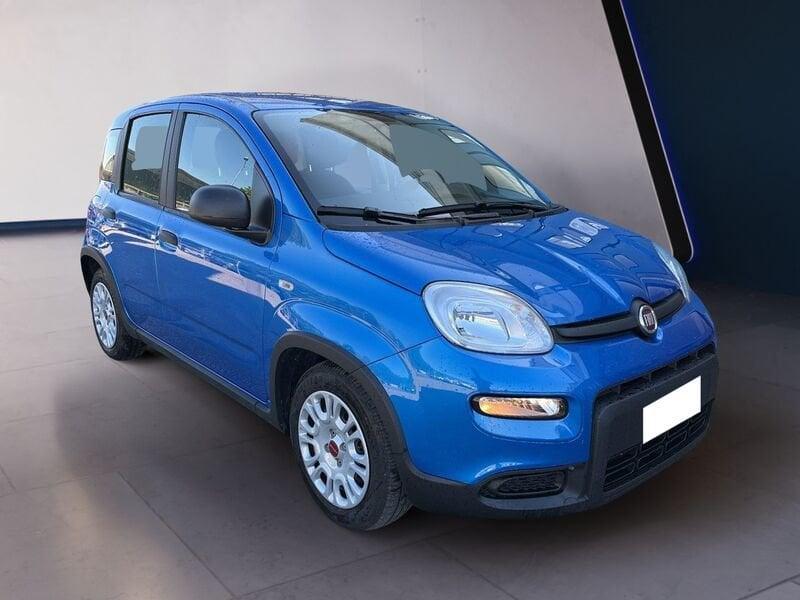 FIAT Panda My24 1.0 70cv Hybrid Panda