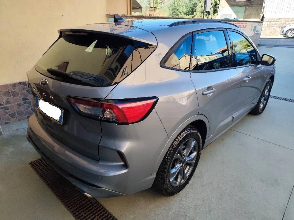 Ford Kuga 2.0 aut. ST-Line 120cv - 2023