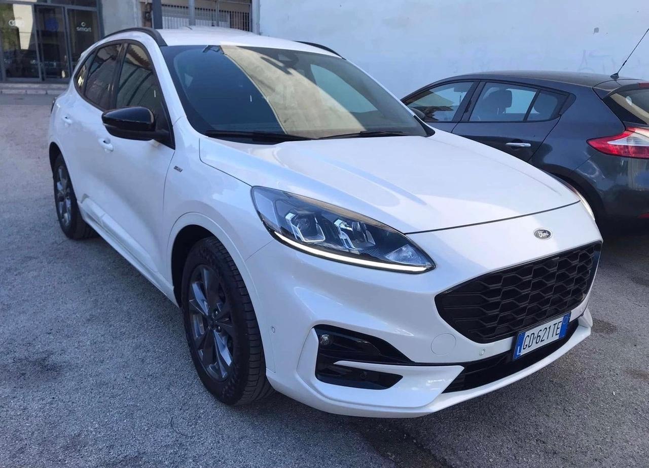 Ford Kuga 1.5 EcoBlue 120 CV aut. 2WD ST-Line X
