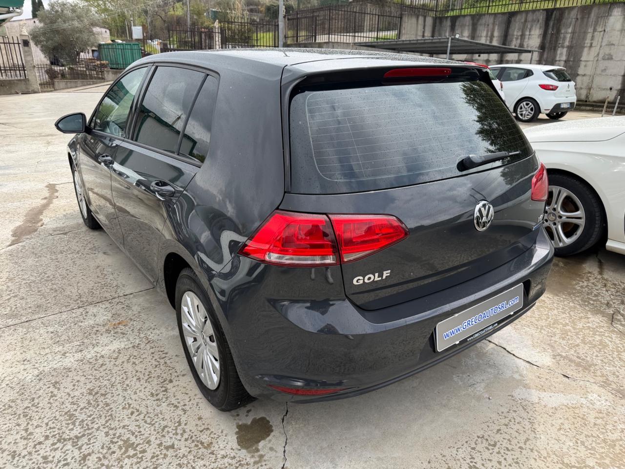 Volkswagen Golf 1.4 TGI 5p. Trendline BlueMotion