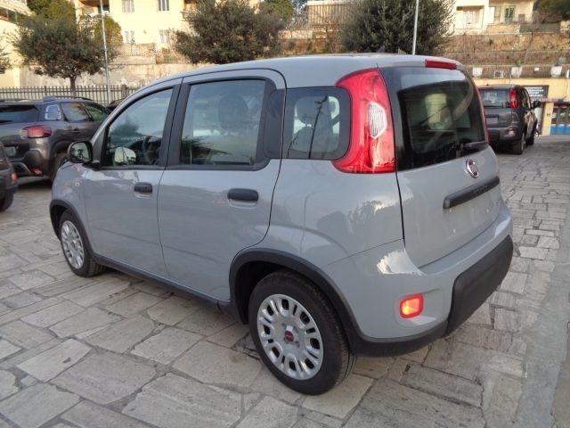 FIAT Panda 1000 HYBRID PANDA 70CV STEREO BLUET ITALIA