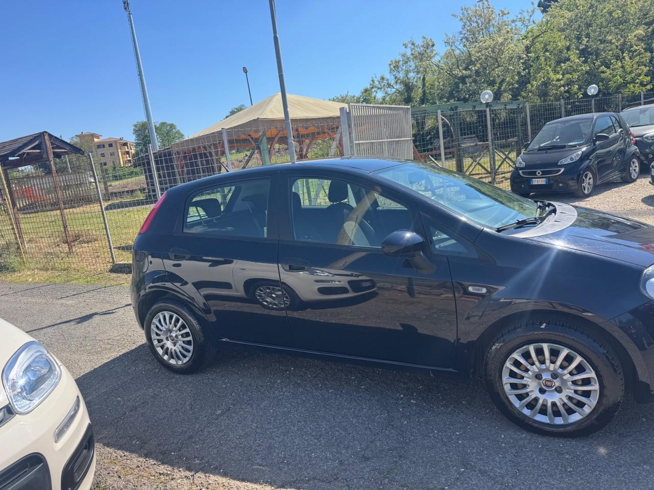 Fiat Punto 1.2 8V 5 porte Street NEOPATENTATI