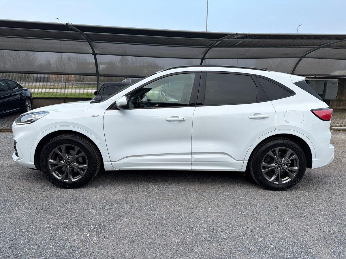 FORD Kuga 1.5 ecoboost ST-Line 2wd 150cv