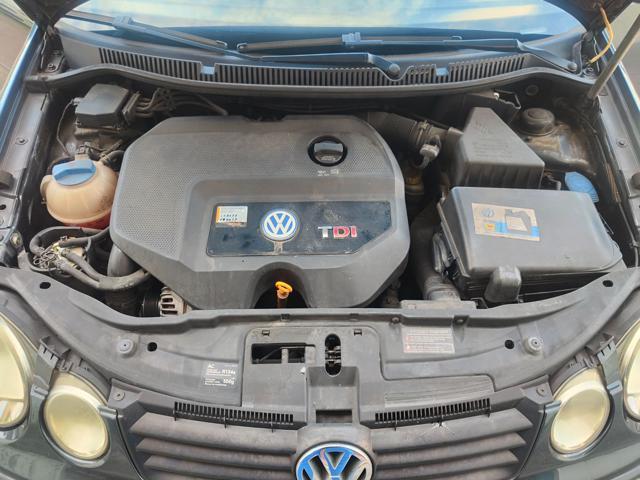 VOLKSWAGEN Polo 1.9 TDI 5 Porte Highline