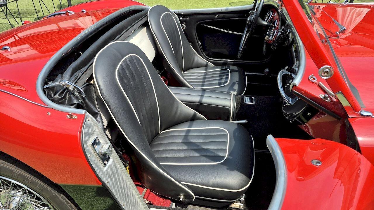 Austin-Healey 100 BN1 – 1954 - SUMMER PRICE