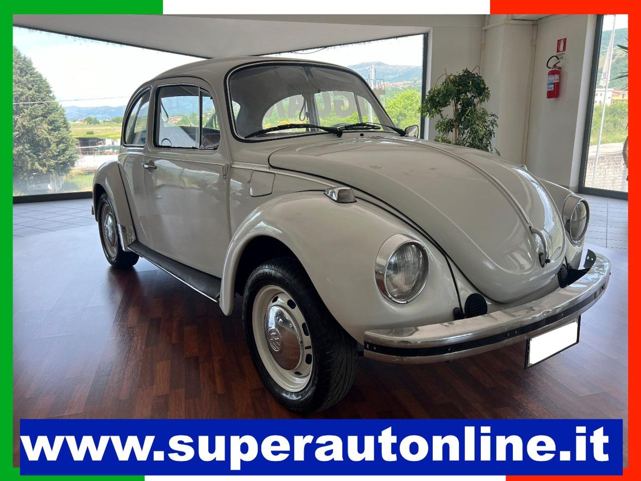 Volkswagen Maggiolino