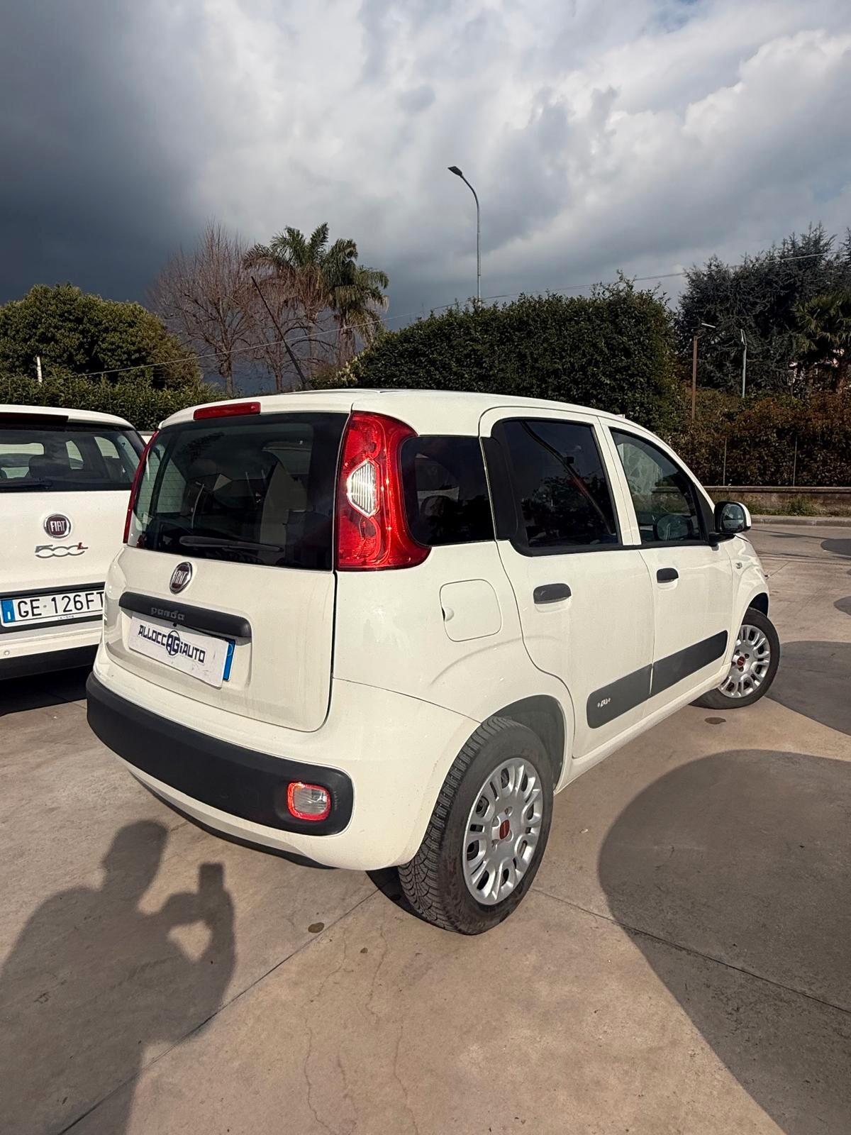 Fiat Panda 1.2 Easy benzina 2019