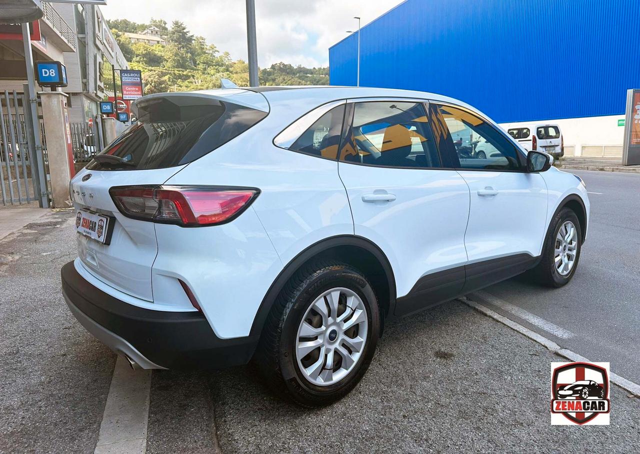 Ford Kuga 1.5 EcoBlue 120 CV 2WD Titanium